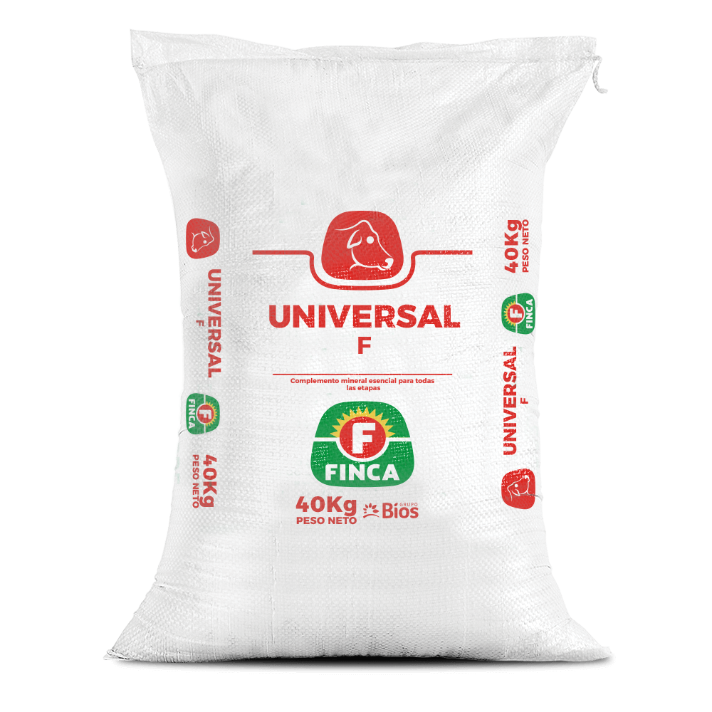 Universal F