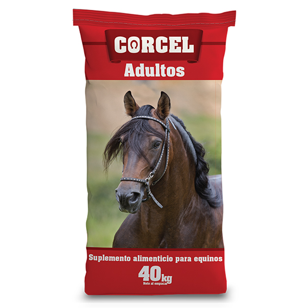 Corcel adultos